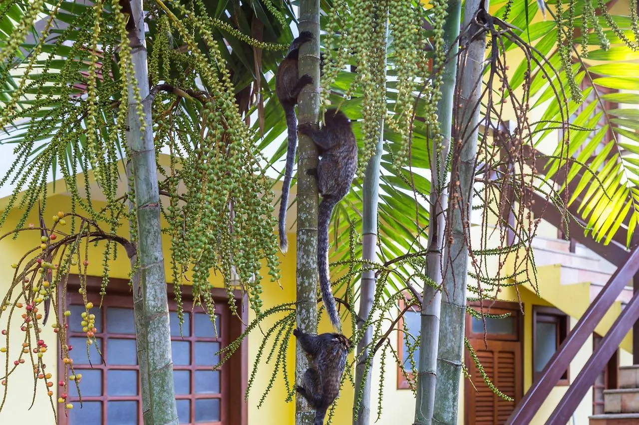 Arraial Bangalo Praia Hotel Porto Seguro